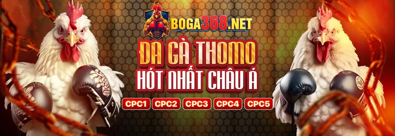 Tin tức mới nhất từ Mayclub Vietnam