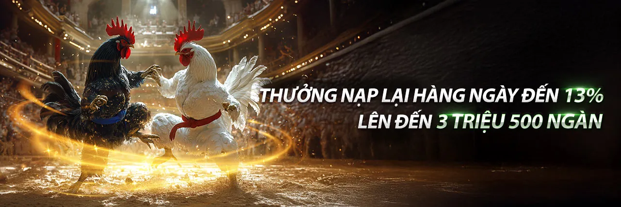 Mayclub Vietnam - Trải nghiệm giải trí trực tuyến mới nhất 2026