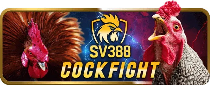 Các chiến thuật săn Jackpot Nổ Hũ Mayclub cơ bản cho người chơi